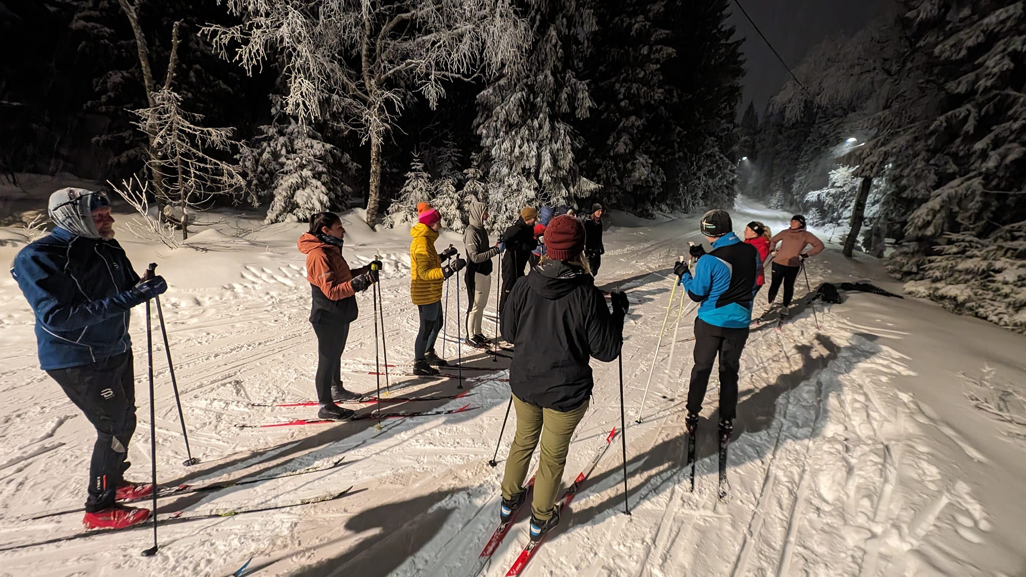 group learning cross country skiing.